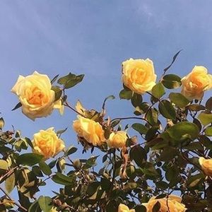 Meet your Posher, Karla